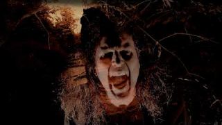 Infrared - From the Black Swamp (Official Video)